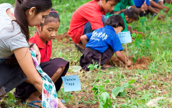 Estudiantes de Filipinas podrán titularse sólo si plantan 10 árboles.