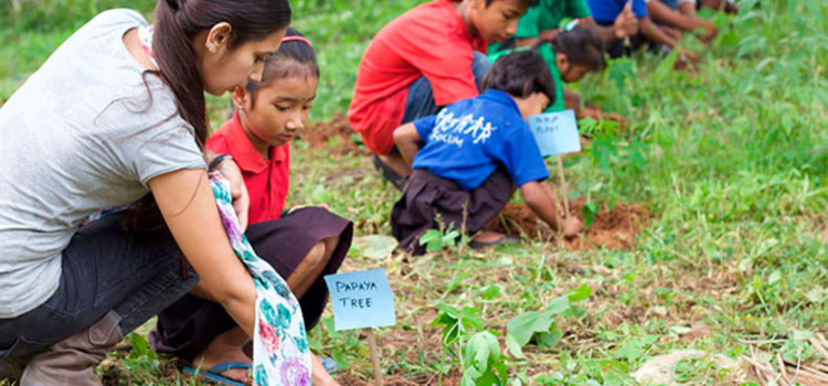 Estudiantes de Filipinas podrán titularse sólo si plantan 10 árboles.