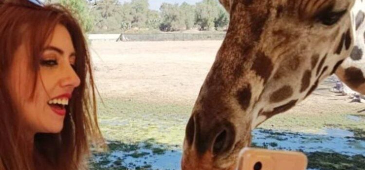 ¡Me fui a alimentar jirafas a una reserva natural! (video)