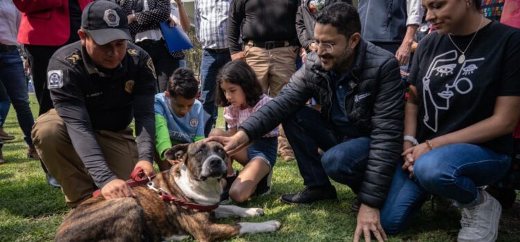 ¡Nueva Ciudad para perros y gatos maltratados y abandonados!