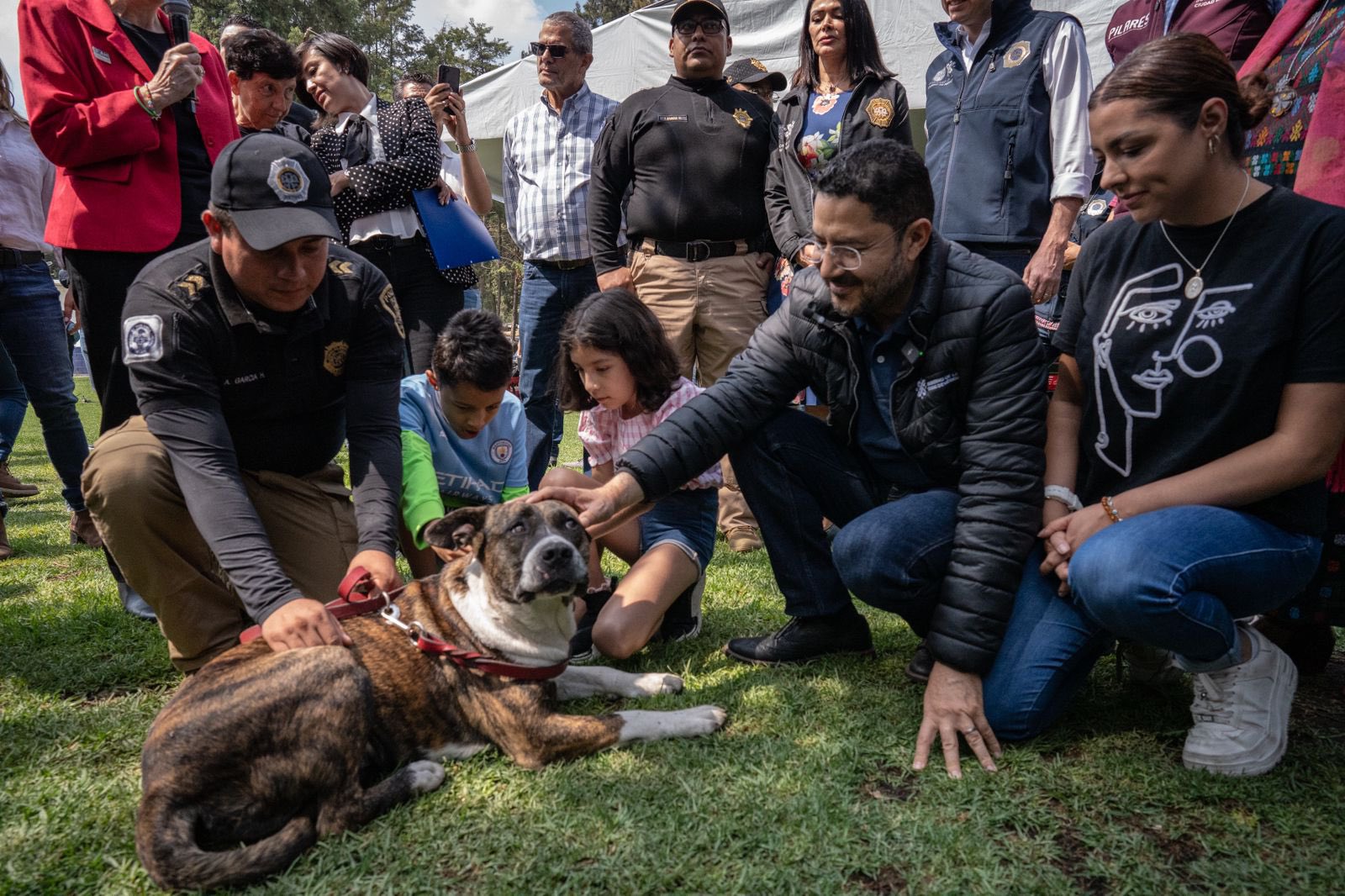 ¡Nueva Ciudad para perros y gatos maltratados y abandonados!