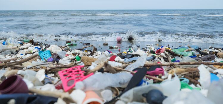 ¡Nuevo plástico bidodegradable y Ocean Cleanup al ataque!