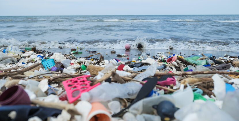 ¡Nuevo plástico bidodegradable y Ocean Cleanup al ataque!