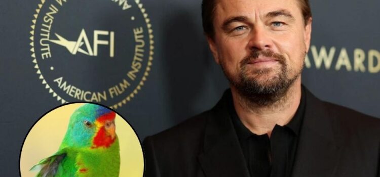 DiCaprio Aboga por la Conservación del Periquito Migrador en Australia