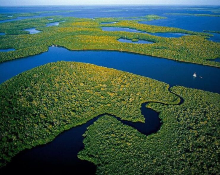 Una Esperanza para los Everglades de Florida