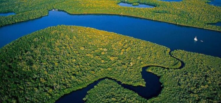 Una Esperanza para los Everglades de Florida