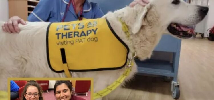 Pets As Therapy: La revolución del bienestar