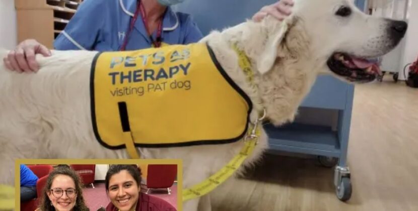 Pets As Therapy: La revolución del bienestar