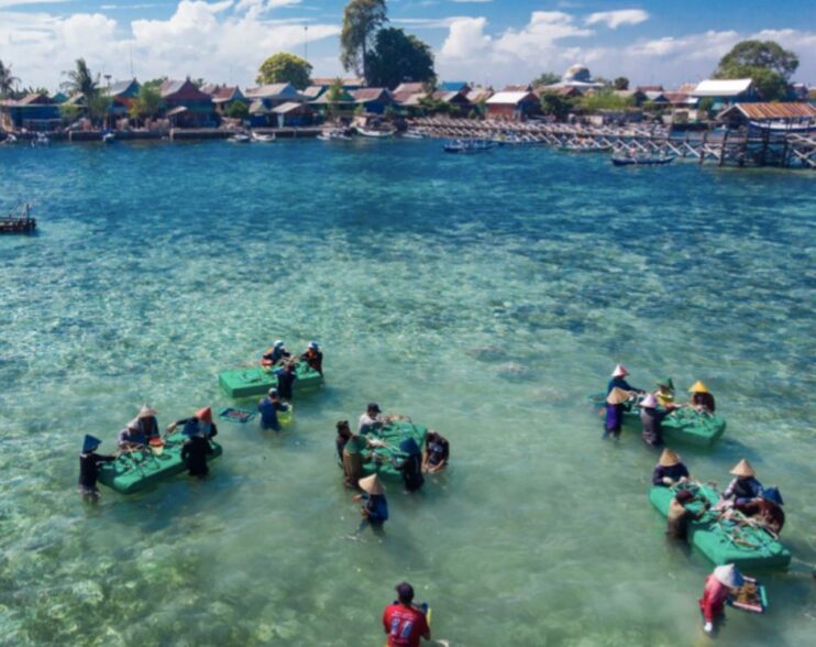 ¡Milagro submarino en Indonesia! 