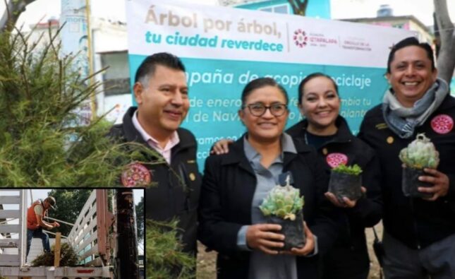 Árbol navideño vs vida nueva: Recicla  