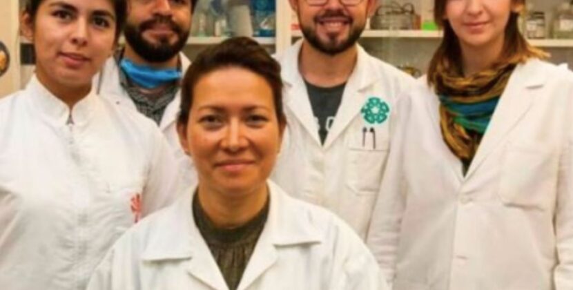 ¡Adiós al VPH! Científica mexicana logra lo imposible
