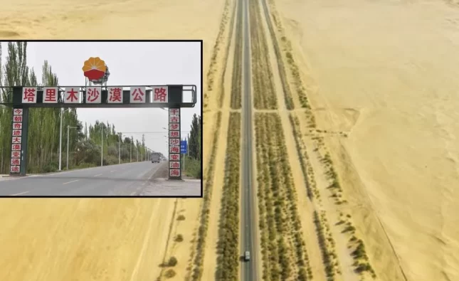 China vence al desierto con árboles