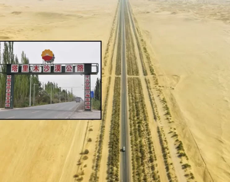 China vence al desierto con árboles