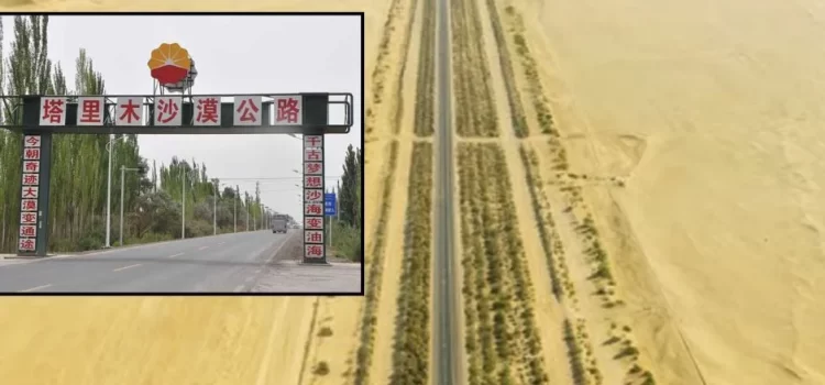 China vence al desierto con árboles