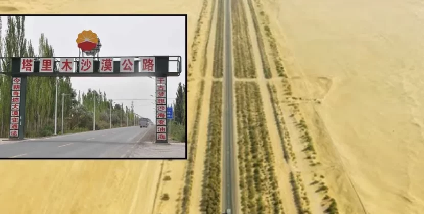 China vence al desierto con árboles